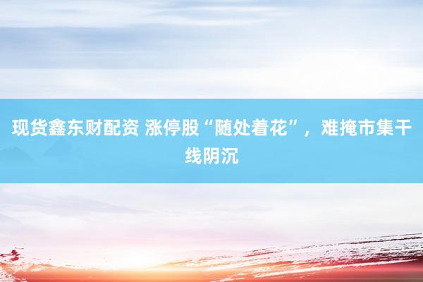 现货鑫东财配资 涨停股“随处着花”，难掩市集干线阴沉