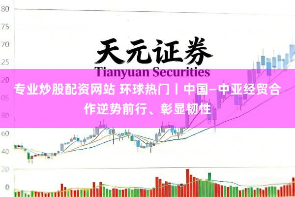 专业炒股配资网站 环球热门丨中国—中亚经贸合作逆势前行、彰显韧性