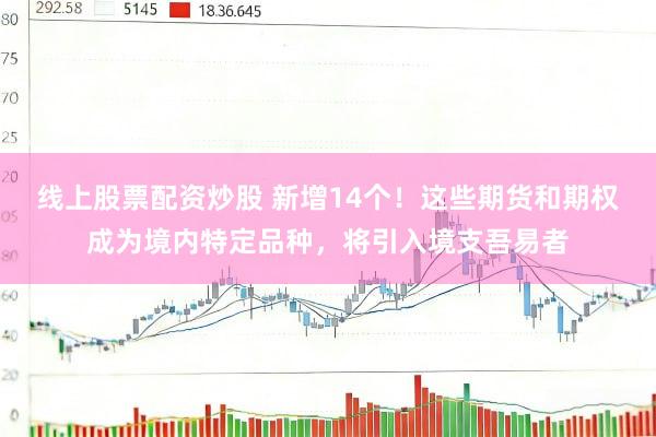 线上股票配资炒股 新增14个！这些期货和期权成为境内特定品种，将引入境支吾易者