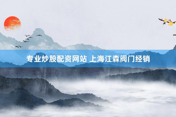 专业炒股配资网站 上海江森阀门经销