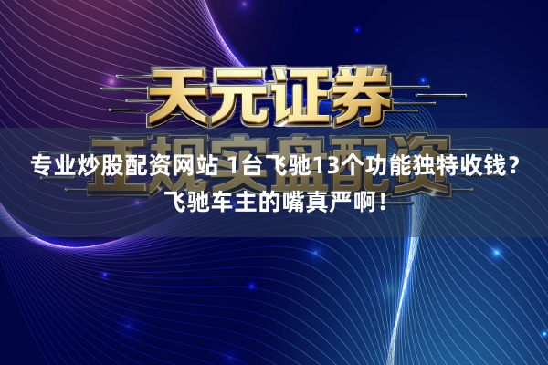 专业炒股配资网站 1台飞驰13个功能独特收钱？飞驰车主的嘴真严啊！