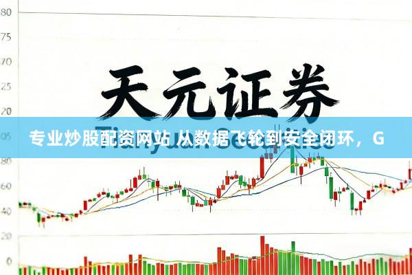 专业炒股配资网站 从数据飞轮到安全闭环，G