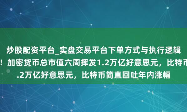 炒股配资平台_实盘交易平台下单方式与执行逻辑解析 币圈飘荡抓续！加密货币总市值六周挥发1.2万亿好意思元，比特币简直回吐年内涨幅