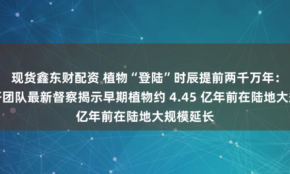现货鑫东财配资 植物“登陆”时辰提前两千万年：我国科研团队最新督察揭示早期植物约 4.45 亿年前在陆地大规模延长