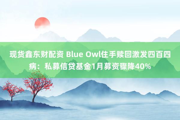现货鑫东财配资 Blue Owl住手赎回激发四百四病：私募信贷基金1月募资骤降40%