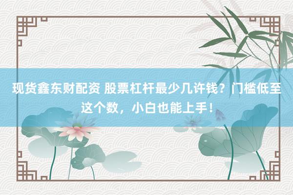 现货鑫东财配资 股票杠杆最少几许钱？门槛低至这个数，小白也能上手！