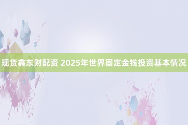 现货鑫东财配资 2025年世界固定金钱投资基本情况
