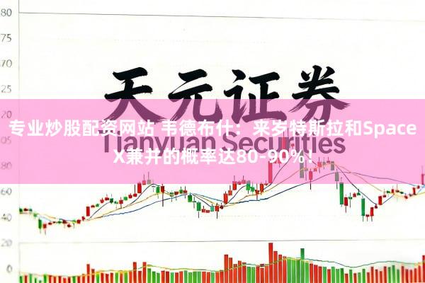 专业炒股配资网站 韦德布什:来岁特斯拉和SpaceX兼并的概率达80-90%!