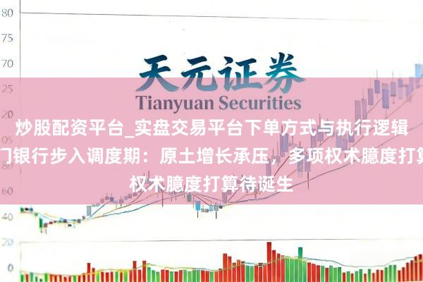 炒股配资平台_实盘交易平台下单方式与执行逻辑解析 厦门银行步入调度期:原土增长承压,多项权术臆度打算待诞生