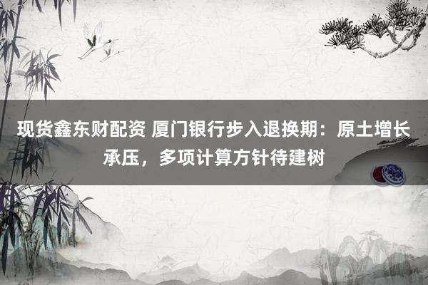 现货鑫东财配资 厦门银行步入退换期：原土增长承压，多项计算方针待建树