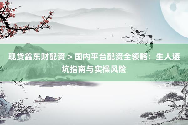 现货鑫东财配资 > 国内平台配资全领略：生人避坑指南与实操风险